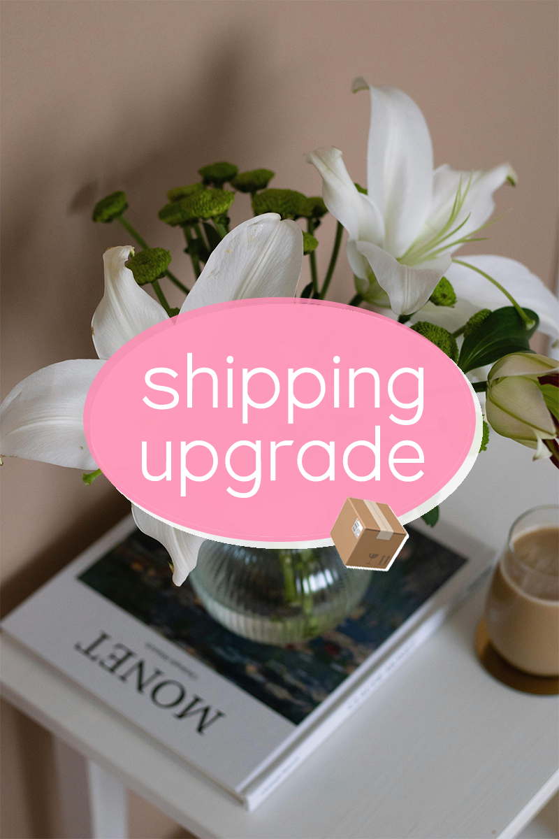 Shipping Upgrade - Spikes and Seams Greek