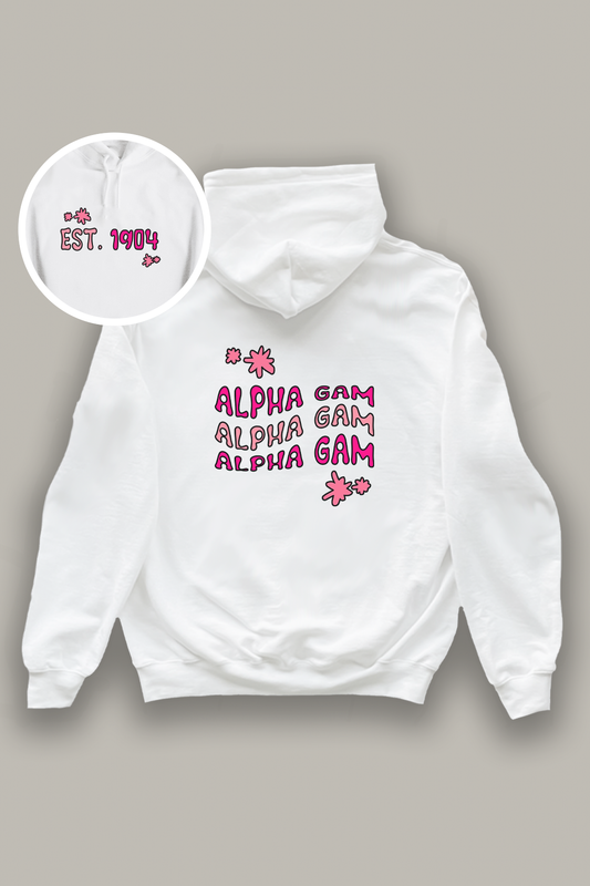 Pink and white hoodie - Alpha Gam