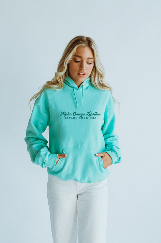 Teal hoodie - Alpha Omega Epsilon